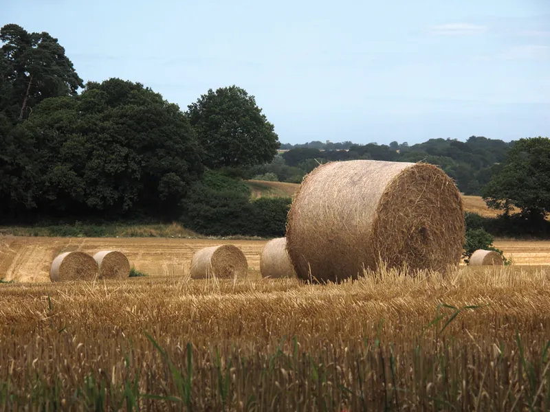 Cicerone - Walking In Norfolk - Laurence Mitchell-6